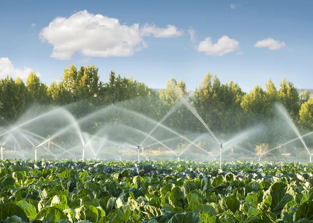 天津市寧河區(qū)積極推進(jìn)農(nóng)業(yè)節(jié)水灌溉工作 增產(chǎn)增